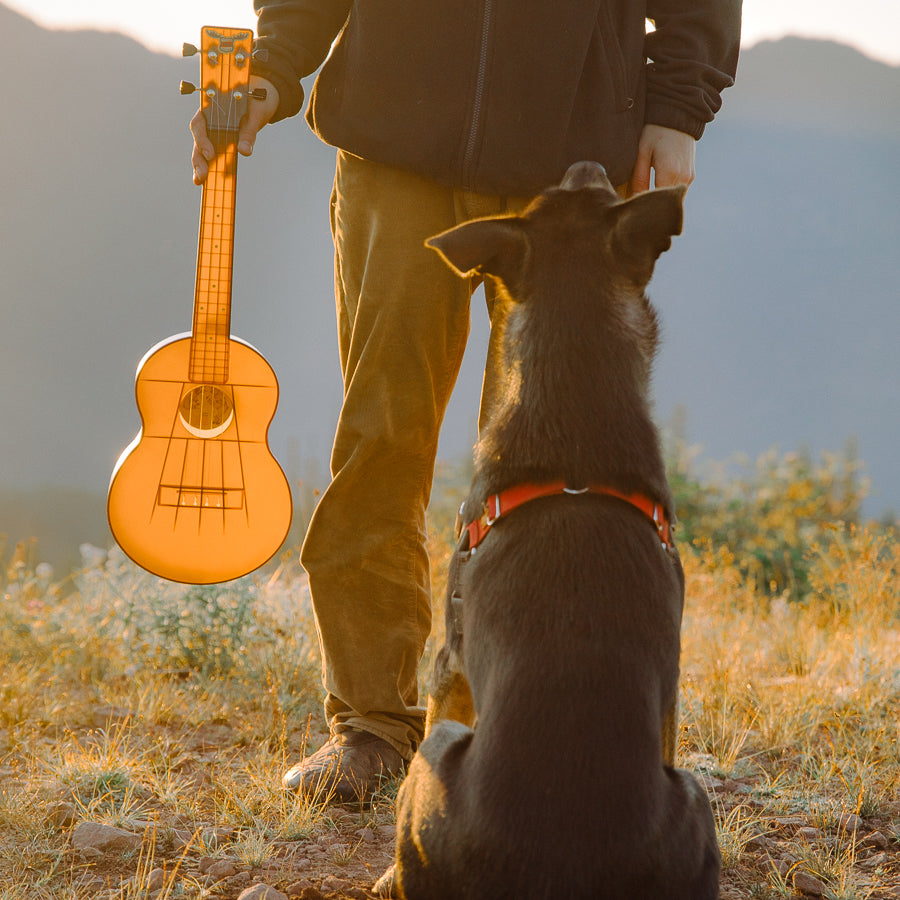 Outdoor Ukulele™ Tenor Brown