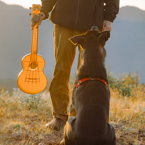 Outdoor Ukulele™ Tenor Brown
