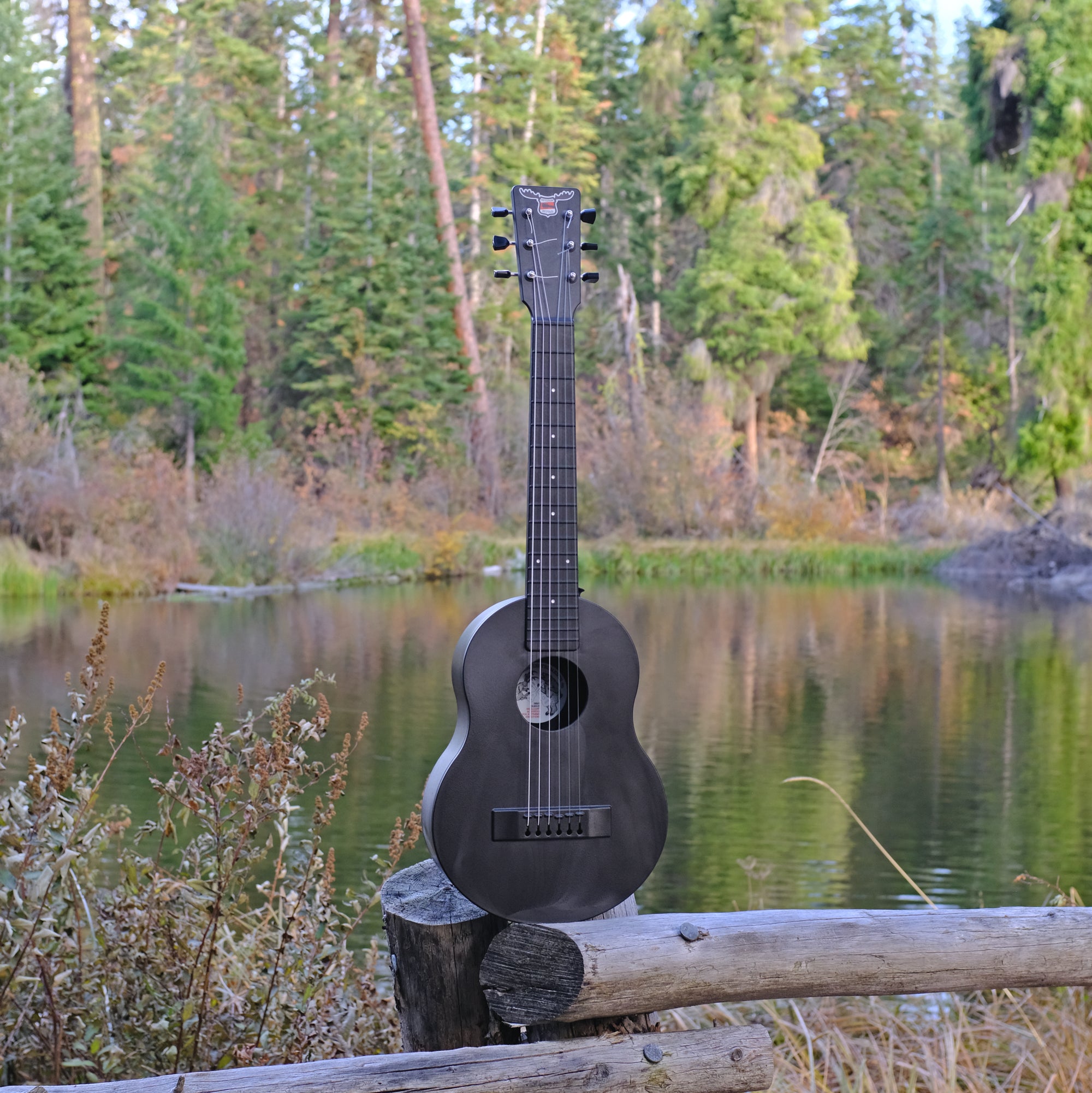 Outdoor Guitar™ Carbon Fiber EADGBE