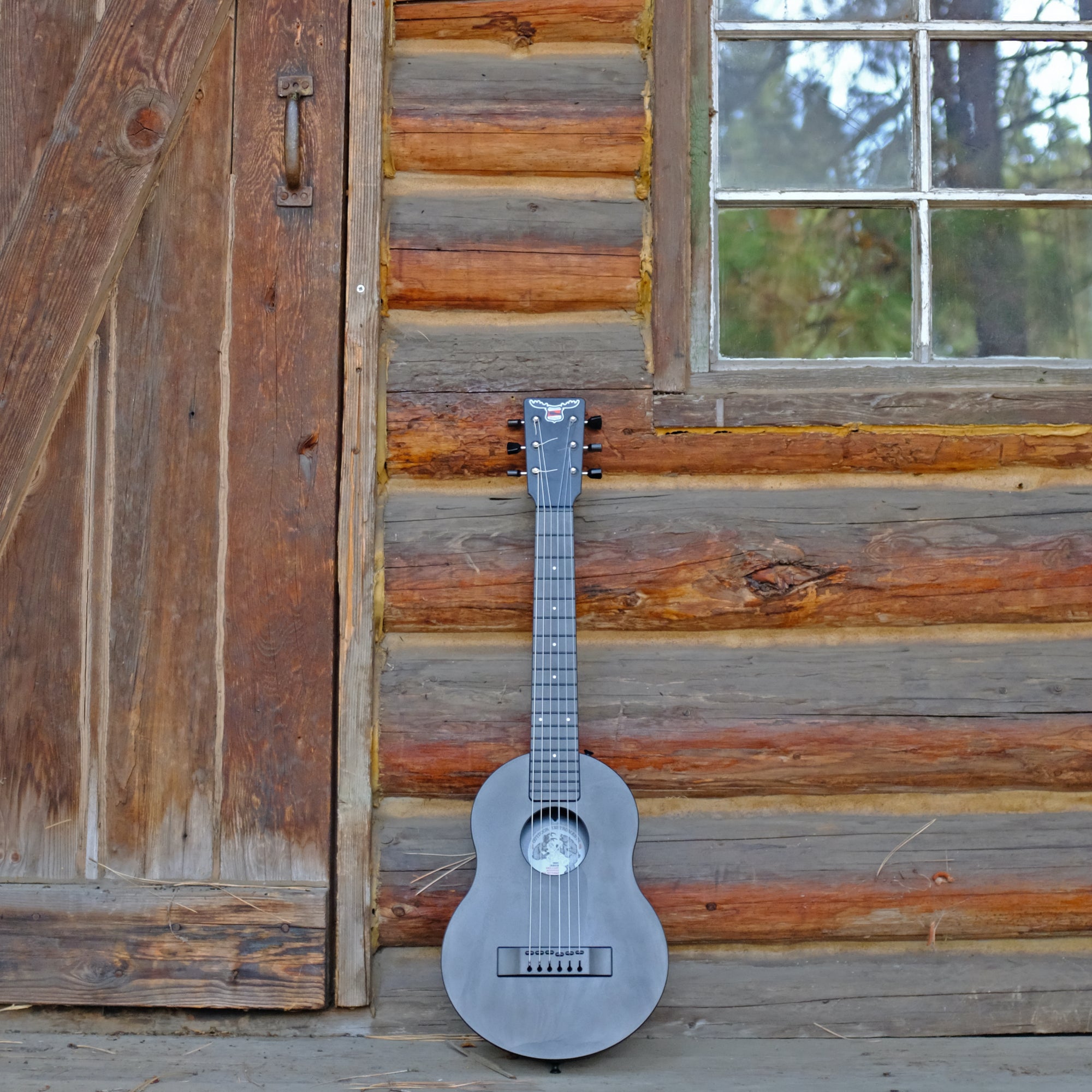 Outdoor Guitar™ Carbon Fiber EADGBE