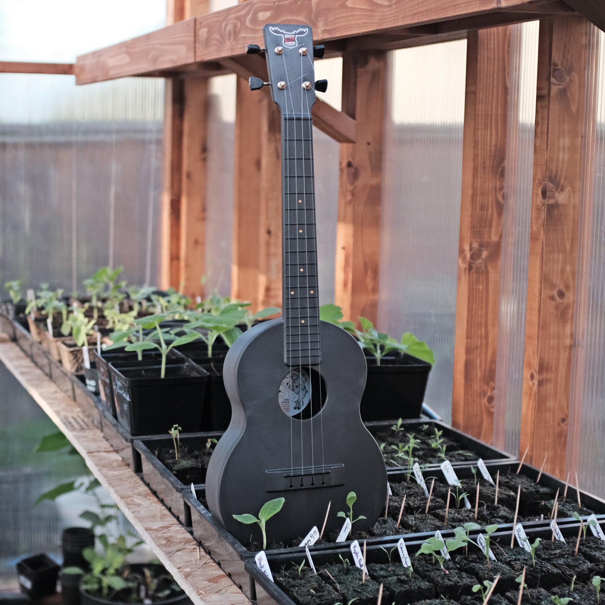 Outdoor Ukulele™ Tenor Carbon Fiber